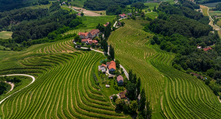GRUWEIS 2_C_Marko Krsmanovic - Wein und Wellness in der Slowenischen Steiermark